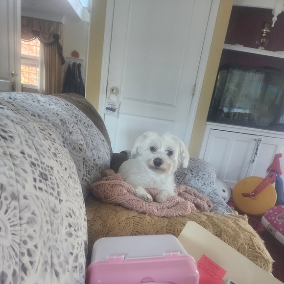 Meet your Posher, Jaime - Picture 1 of 1